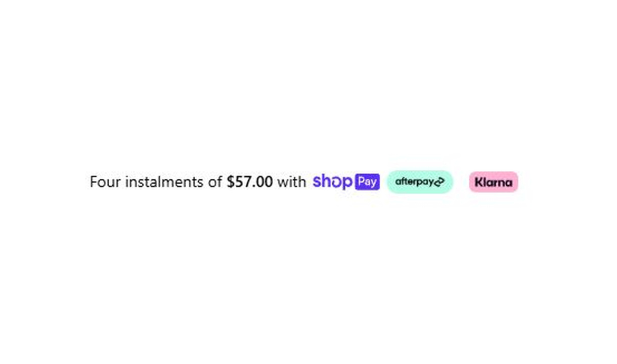 Buy now pay later in Wavytalk's checkout